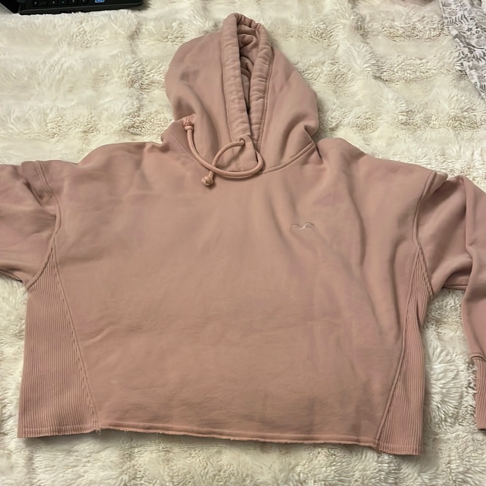 Hollister Cropped Hoodie